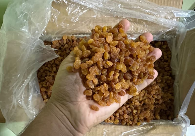 قیمت مرغوب ترین کشمش تیزابی پلویی صادراتی
