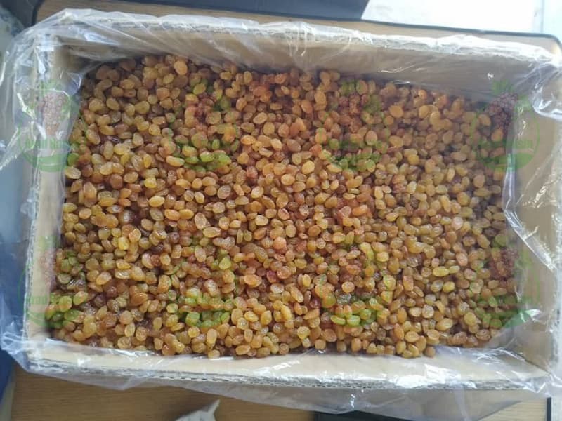 قیمت مرغوب ترین کشمش تیزابی پلویی صادراتی