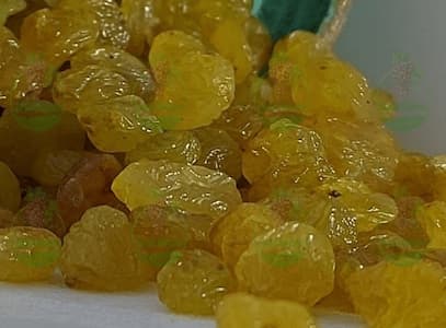 بازار خرید کشمش انگوری صادراتی