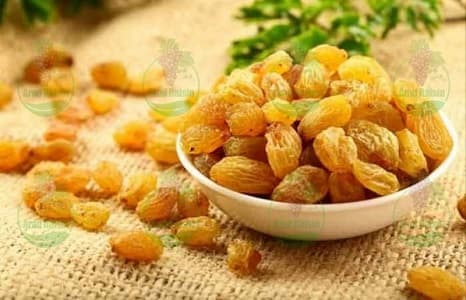 خرید عمده بهترین کشمش انگوری ملایر
