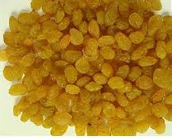 فروش کشمش انگوری طلایی در تبریز