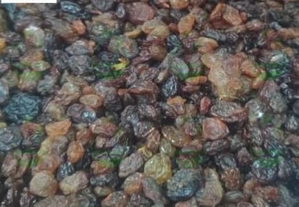 پخش ضایعات کشمش درجه یک در خرمشهر