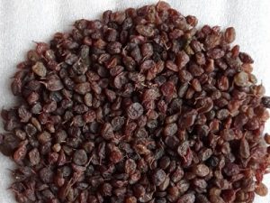 خرید اینترنتی کشمش آفتابی ارزان 2 کشمش آفتابی کیسه ای min