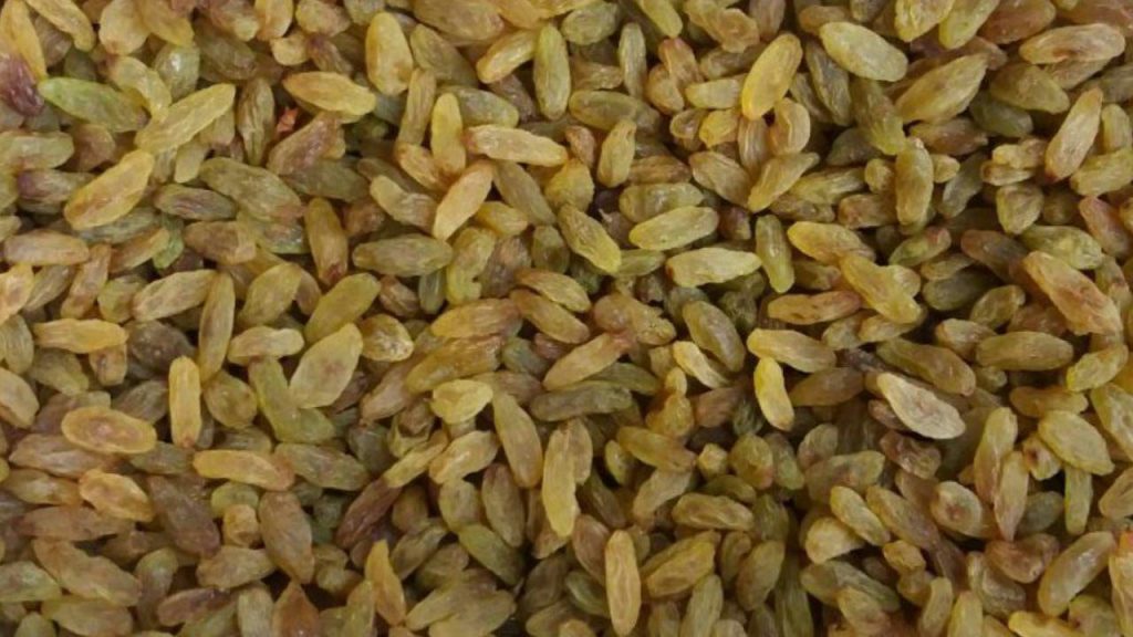 کارخانه کشمش سبز قلمی فله ای 6 عرضه اینترنتی کشمش