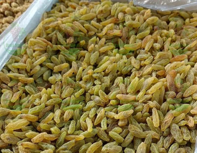 کارخانه تولید و بسته بندی انواع کشمش سبز