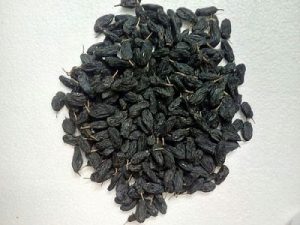 قیمت کشمش مویز سیاه