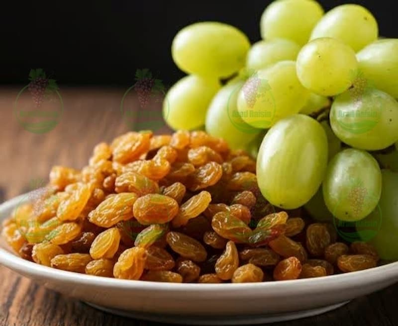 قیمت روز کشمش انگوری صادراتی ملکان