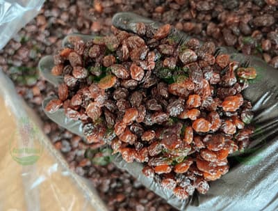 فروش کشمش پلویی سیاه در تاکستان
