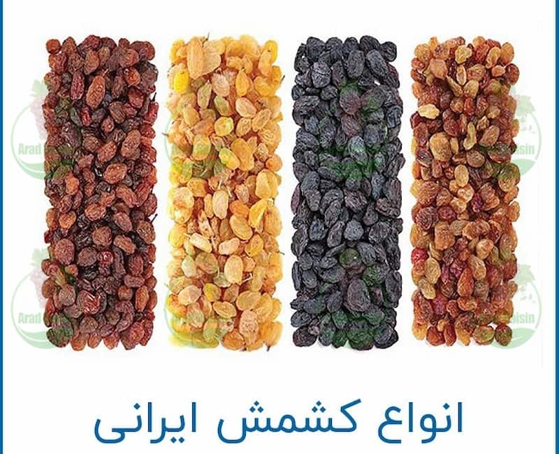 تولید کدام کشمش در ایران بیشتر است؟