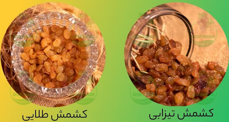 کشمش تیزابی ضرر دارد 10 کشمش تیزابی ضرر دارد