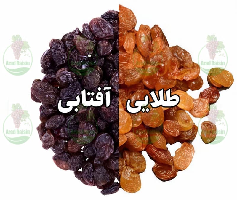 تولید کدام کشمش در ایران بیشتر است؟